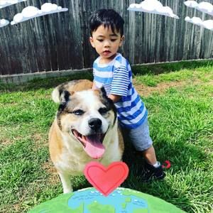 Meet your Posher, Vy